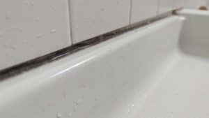 Mold growing in older shower2