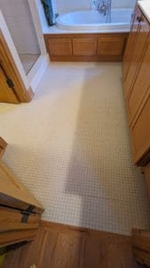 Master bath floor heavy duty cleaning with bleach