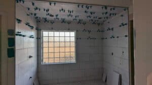 Master shower walls and ceiling set3