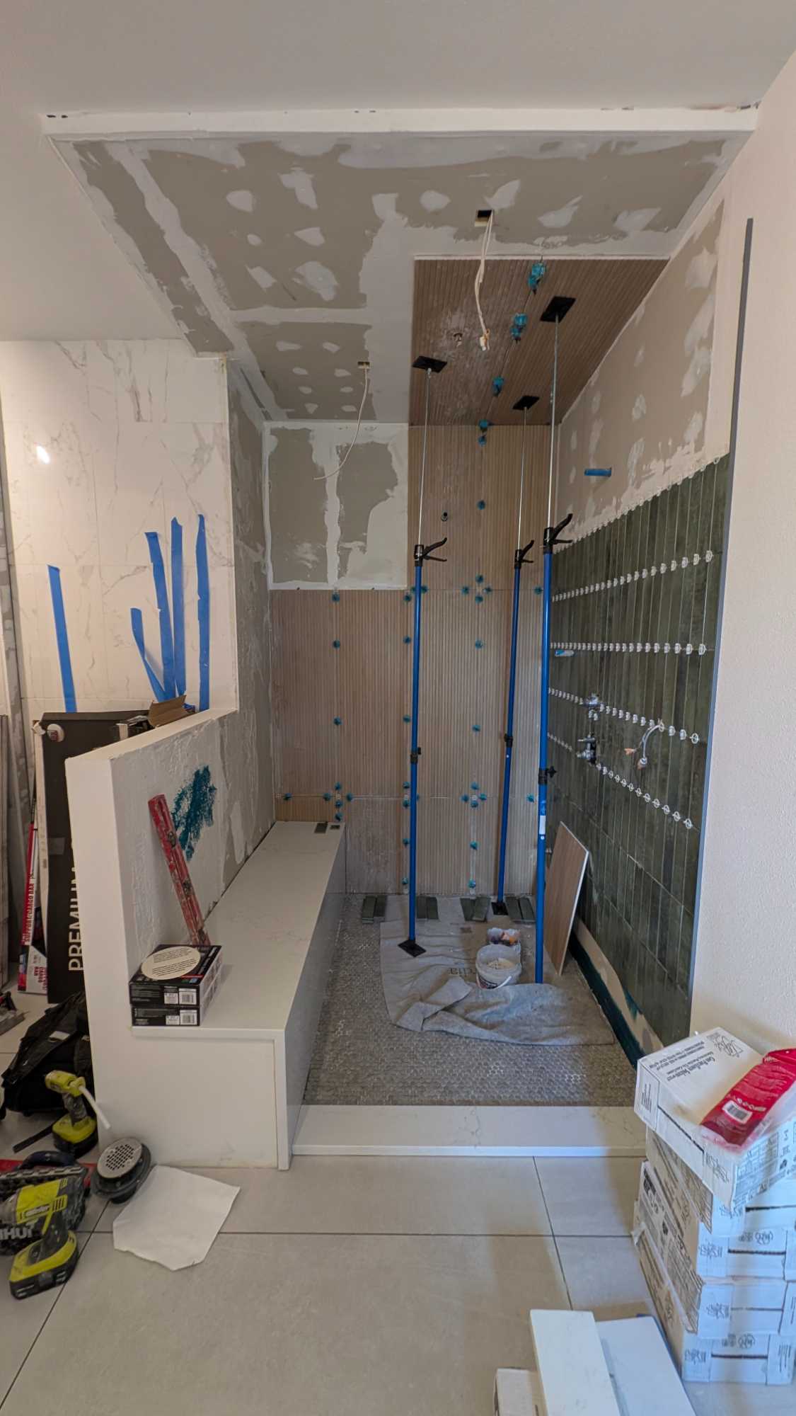 Current progress on primary shower