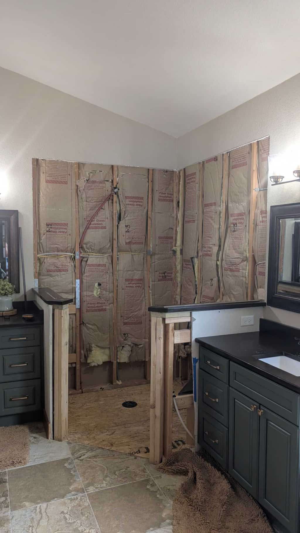 Primary shower we may be installing