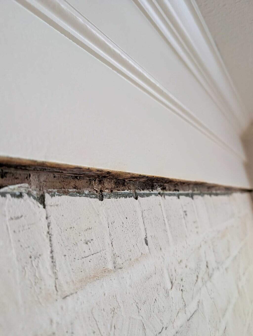 Profile cut from wood trim