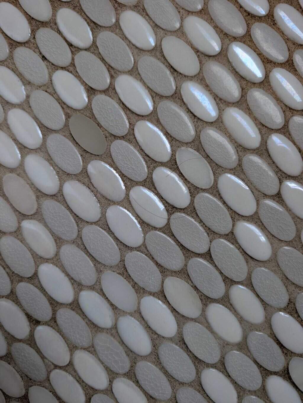 Primary shower with grout stains and mold