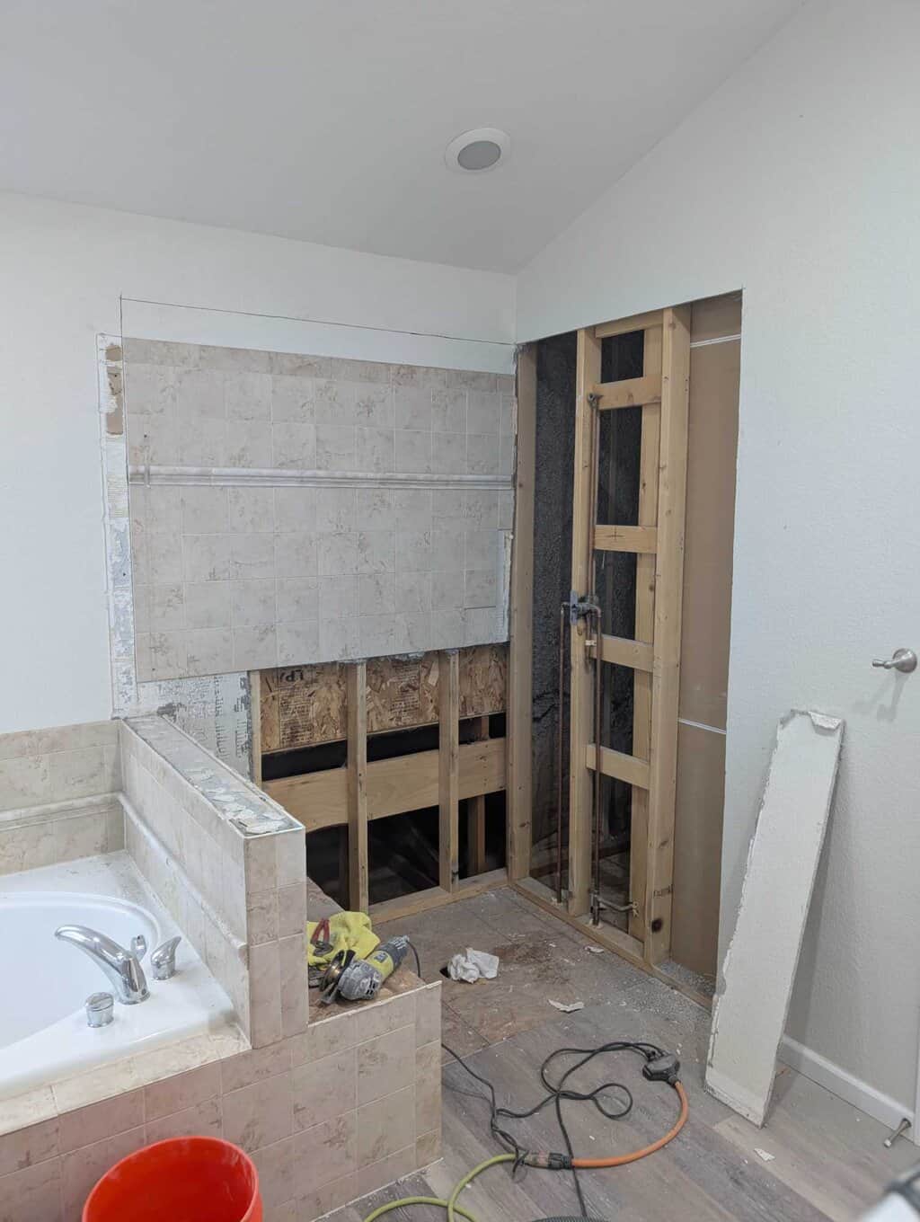 Demo'ing primary shower