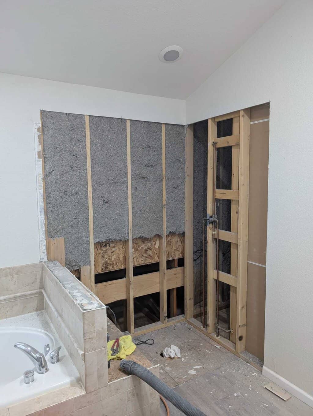 Demo'ing primary shower