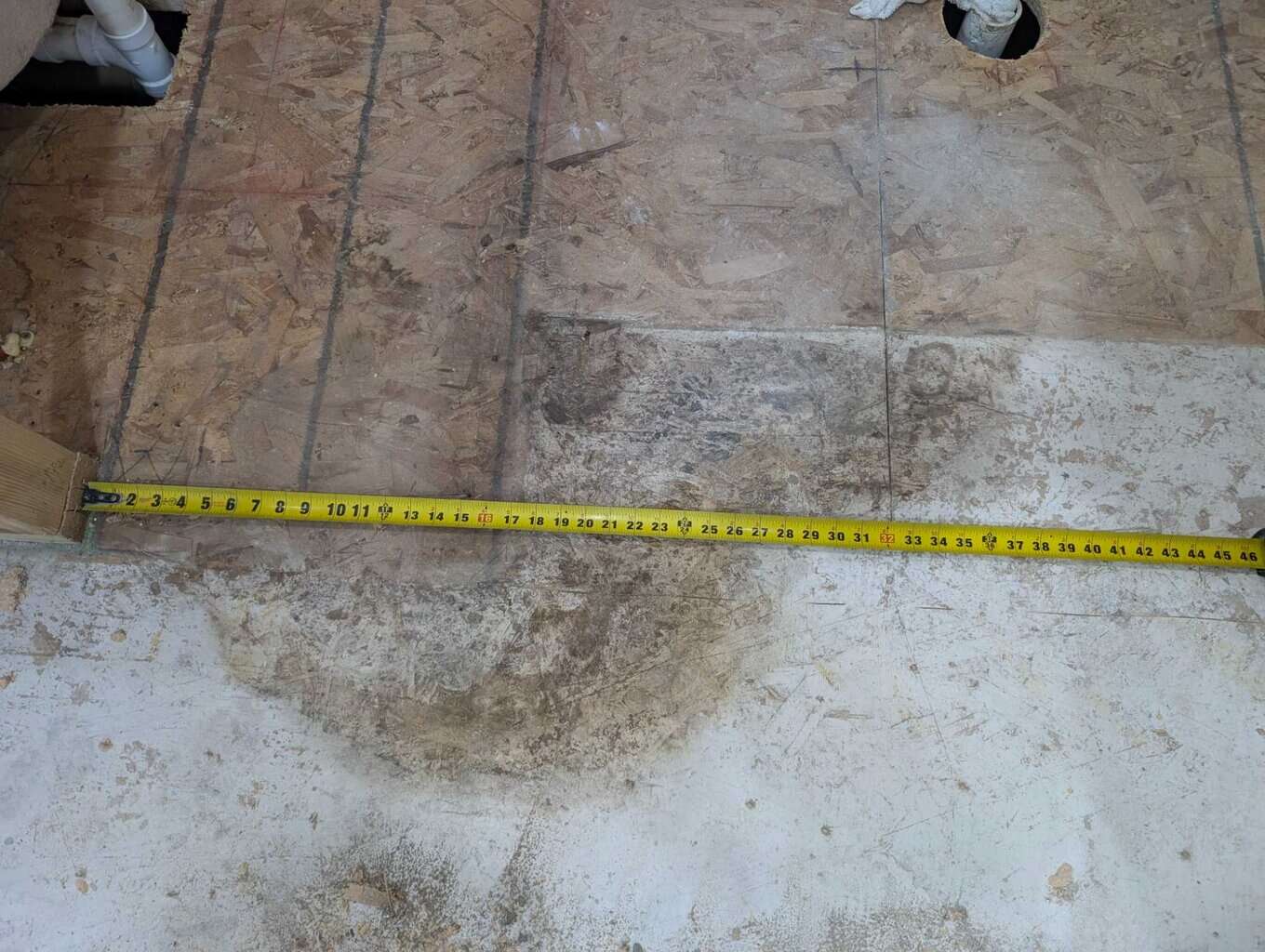 Measuring the mold that the mitigation company missed